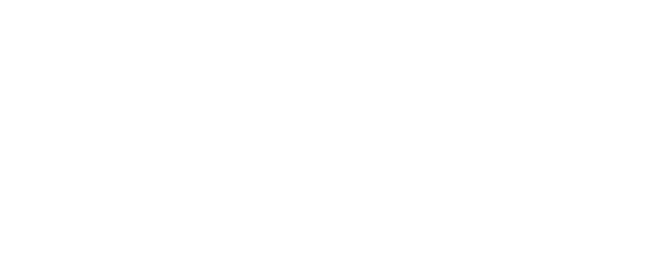 All Pro Premium builders logo 2